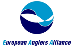 EAA logo