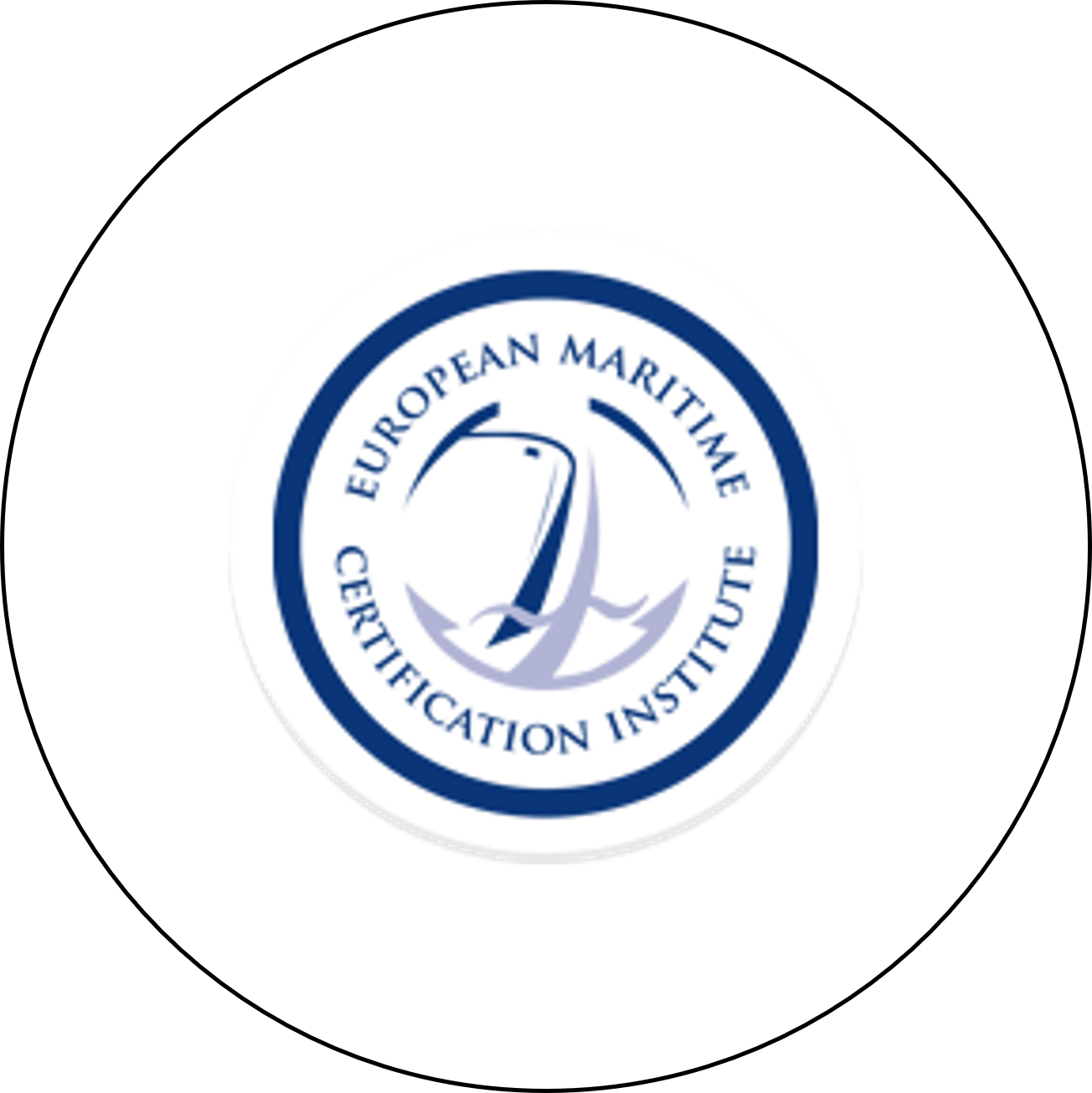 Website EMCI
